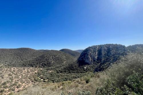 度假屋周边自然景观