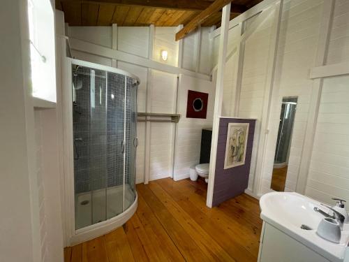 La salle de bains est pourvue d'une douche, d'un lavabo et de toilettes. dans l'établissement Très joli bungalow et sa petite piscine privee, à Rivière-Salée