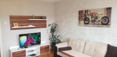 a living room with a couch and a flat screen tv at Apartman Sweet dreams 1 in Niš