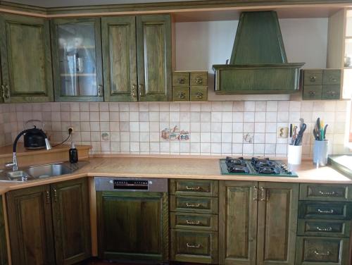 a kitchen with green cabinets and a stove top oven at Ubytování U Janka in Mosty u Jablunkova