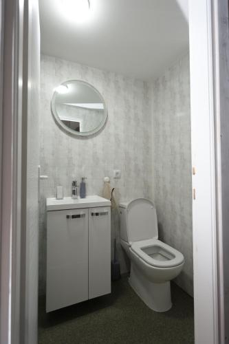 VranićにあるGlamping Beogradのトイレと鏡のある白いバスルーム
