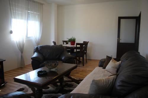 a living room with a couch and a table at Apartman na rijeci Cijevni in Podgorica