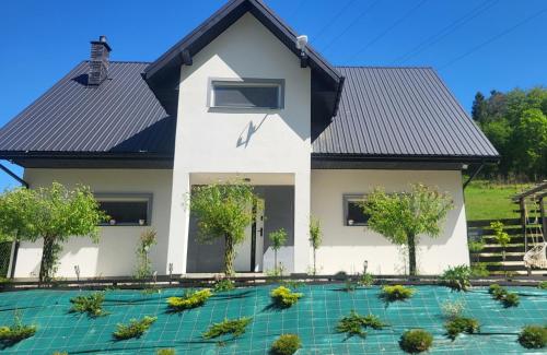 a house with a black roof at Leśne Wzgórze nad Soliną in Bóbrka