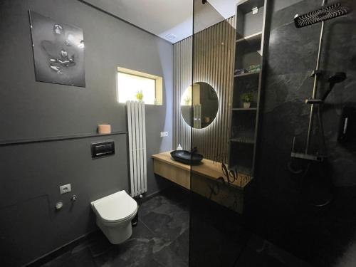 a bathroom with a toilet and a sink and a shower at The Nook in Sibiu