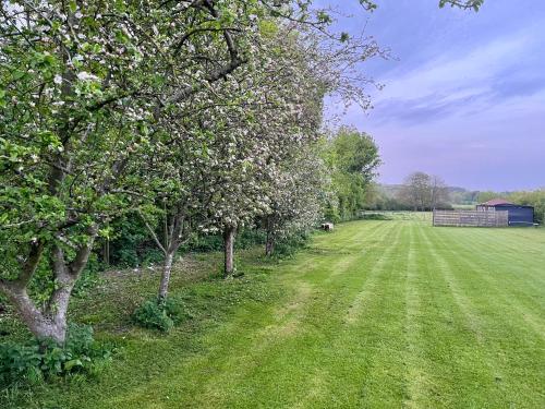 un campo de césped verde con árboles y un granero en Gorgeous countryside cabin, en Lyminge