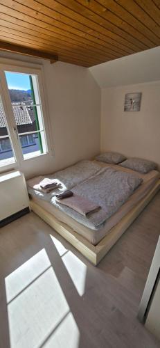 1 dormitorio con 1 cama en una habitación con ventana en Emma's comfy place, en Freienbach
