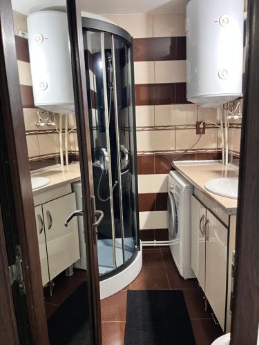 ein Badezimmer mit einem Waschbecken und einer Waschmaschine in der Unterkunft Apartament Maria 1 in Băile Herculane