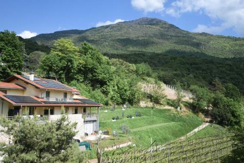 a house in a field with a mountain in the background at Agritur Casteller in Trento