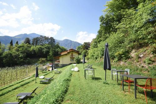a row of tables and umbrellas in a field at Agritur Casteller in Trento
