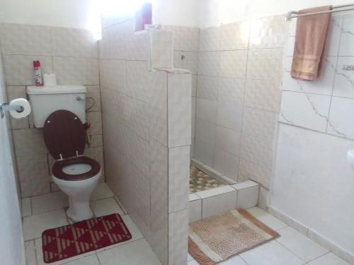 y baño con aseo y ducha. en Maun self catering accommodation en Maun