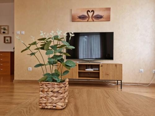 a living room with a tv and a potted plant at Апартамент Ния, Райска градина / Garden of Eden in Sveti Vlas