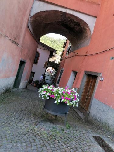 a pot of flowers sitting in front of a building at Casa Gio' in Pignone