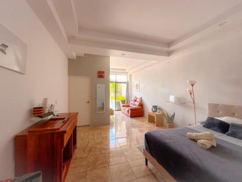 1 dormitorio con cama y escritorio. en Casa Garitas GuestHouse - Free SJO Airport Shuttle en Santiago Este