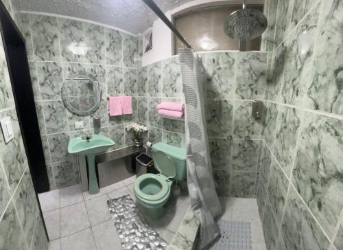 a bathroom with a green toilet and a sink at Gold House in Quito
