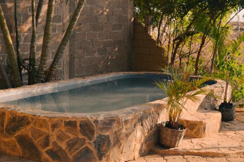 a swimming pool with a rock around it at Beach Front Guesthouse in Puerto Escondido