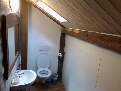 a bathroom with a toilet and a sink at Chalet in Ore Mountains near Ski Slopes in Jindřichovice