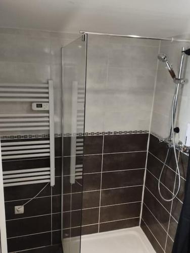 une douche avec une porte vitrée dans une salle de bain dans l'établissement Appartement coeur de ville!, à Foix