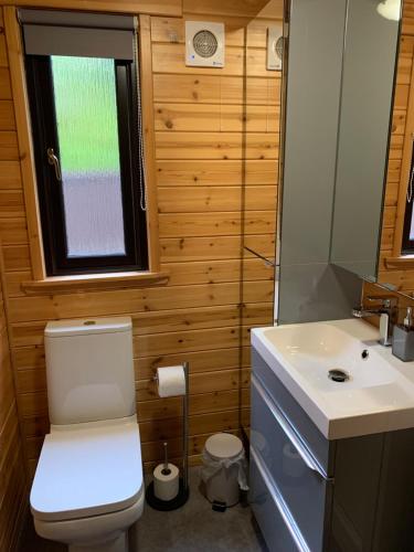 a small bathroom with a toilet and a sink at Corrie Lodge, Glendevon in Glendevon