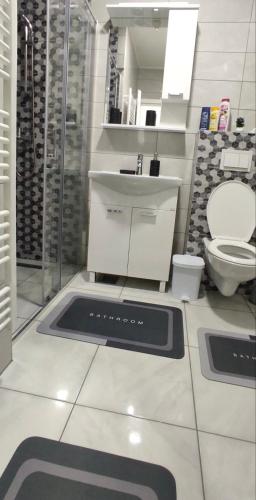 a bathroom with a sink and a toilet at Apartman Aurora in Travnik