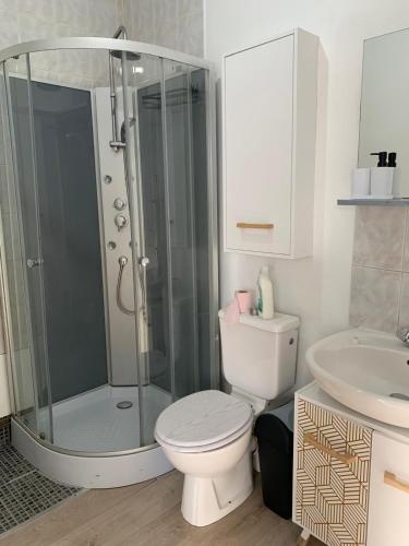 une salle de bain avec une douche, des toilettes et un lavabo dans l'établissement 36 Maison entière,place parking devant garage, à Dunkerque