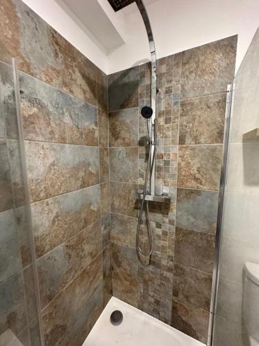 une salle de bain avec douche et toilettes dans l'établissement Atelier Cosy - Parking privé gratuit, à Dijon