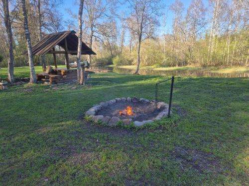 a fire pit in the middle of a field at Lonni camping in nature in Kuku