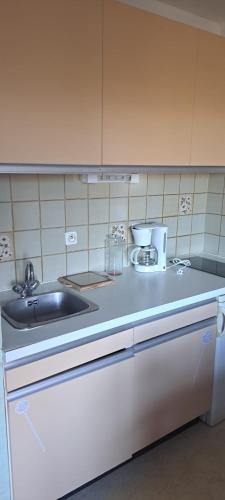 une cuisine avec un évier et un plan de travail dans l'établissement 50m des cures studio Phannie wifi parking grand balcon vue dégagée, à Amélie-les-Bains-Palalda