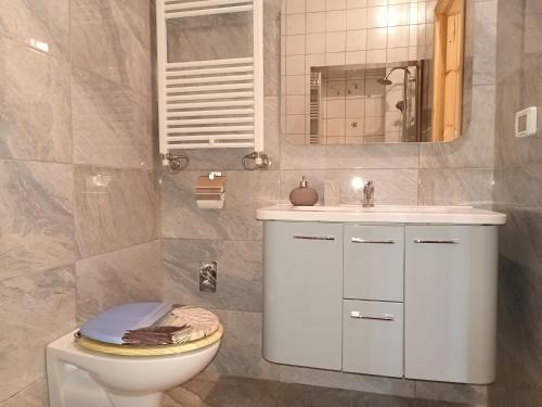a bathroom with a toilet and a sink and a mirror at Agriturismo PALMERI in Avola