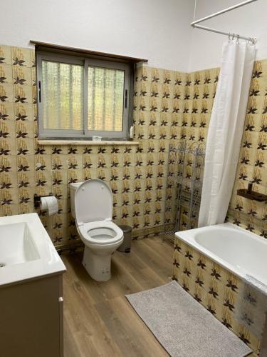 La salle de bains est pourvue de toilettes, d'une baignoire et d'un lavabo. dans l'établissement House of green leaves, à Chelreira