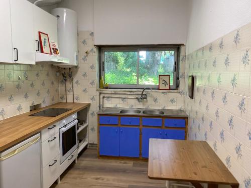 a kitchen with blue cabinets and a sink and a window at House of green leaves in Chelreira