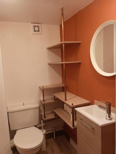 une salle de bain avec toilettes, lavabo et miroir dans l'établissement Mine d'Ore Grand Gîte de la Chouette d'Or, à Thoste