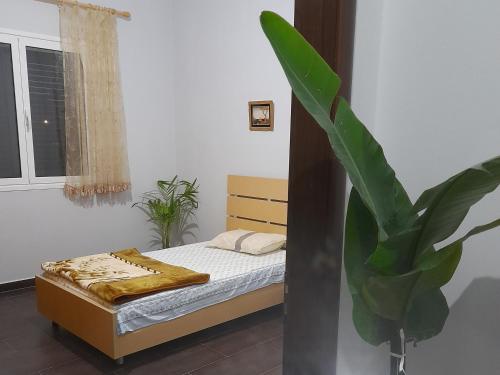 培拉特的住宿－A&A House，一间卧室配有一张床和盆栽植物