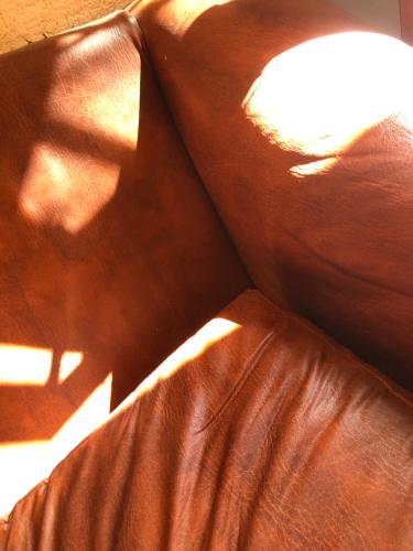 un primer plano de un sofá de cuero marrón con su sombra en Casa En Los Manantiales, en Jacona de Plancarte