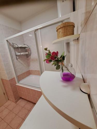 Apartment Holiday in Split, near the old town, three rooms, balcony, garage
