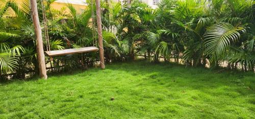 a bench sitting in the grass next to palm trees at Kin Tulum Apartamentos in Tulum