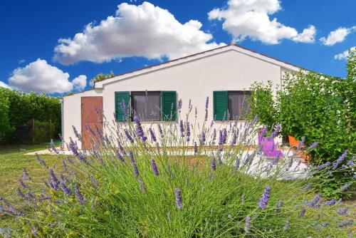 una casa con flores púrpuras delante de ella en Ferienhaus für 6 Personen ca 50 qm in Ližnjan, Istrien Südküste von Istrien, en Ližnjan