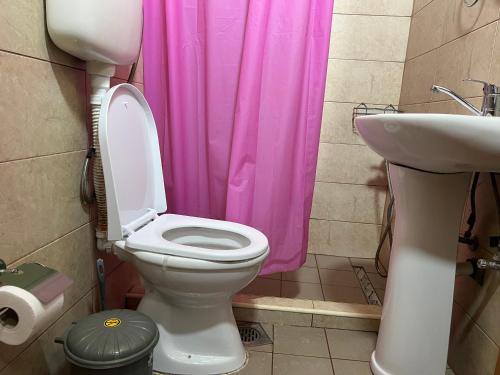a bathroom with a toilet and a pink shower curtain at SARAH APARTMENTS in Gusinje