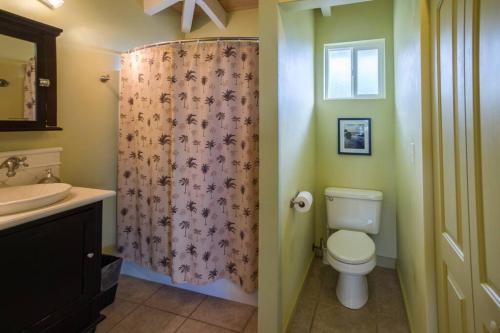 a bathroom with a toilet and a shower curtain at The Pineapple Express Hot Tub Volcano 65 Mi Away in Papa Bay Estates