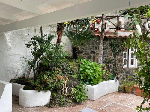 Κήπος έξω από το channel house