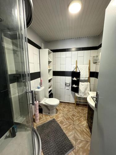 une salle de bain avec une douche, des toilettes et un lavabo dans l'établissement Duplex au coeur du Boulou, au Boulou
