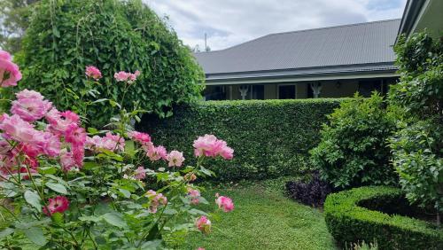 a garden with pink flowers and a hedge at Little Britton in Wingham