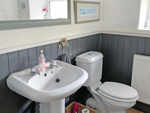 a bathroom with a sink and a toilet at Golf Cottage in Chinley