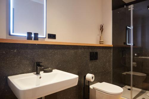 a bathroom with a sink and a toilet at Binnendiek Haus 2 Comfort-Apartment 7 in Büsum