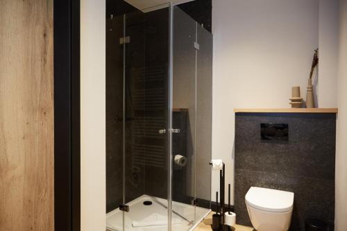 ein Badezimmer mit Toilette und Glasdusche in der Unterkunft Binnendiek Haus 4 Apartment 8 in Büsum