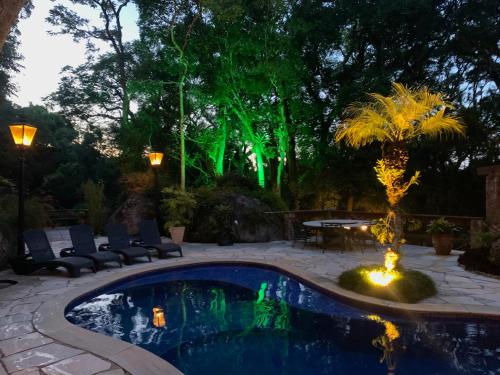 a backyard pool with a palm tree and a fountain at Casa da Pedra Atibaia Clube da Montanha in Atibaia