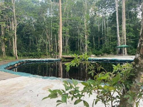 a swimming pool in the middle of a forest at ACORI WUHU in Mitú