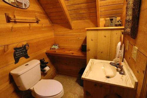 a bathroom with a toilet and a sink in a cabin at Cozy cabin w/ fireplace 3 minutes to Helen! #2. in Helen