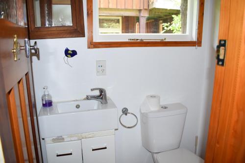 baño con aseo y lavabo y ventana en Dylans Country Cottages en Kaikoura