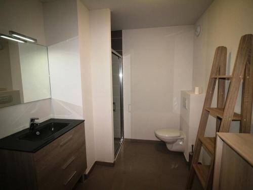 une salle de bain avec un lavabo et des toilettes dans l'établissement Confortable T3 à 50m des pistes avec piscine et parking gratuits - FR-1-297-338, à Auris