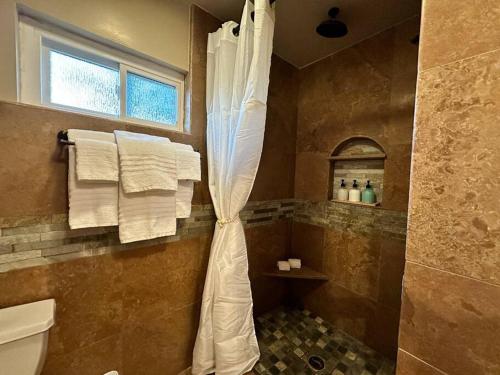 Un baño con ducha con cortina de ducha. en HC Accessible 4 Bed 3 Bath with Sparkling Pool and Spa-we have lifts and roll in shower, en Santee